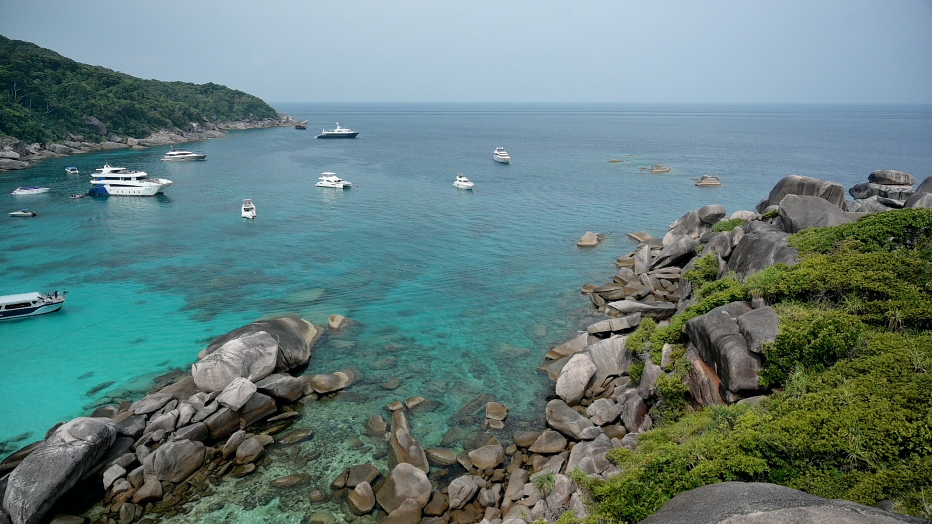Similan Islands Tour